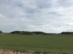 -乌兰布统草原