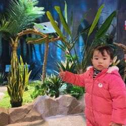 -酷嗒动物文化乐园(cutezoo西溪乐天城店)