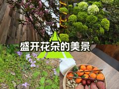 -三圣花乡旅游区