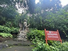-伊岭岩风景区