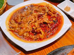 -红辣椒八爪鱼特色韩国料理