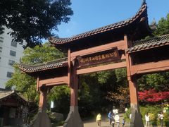 -杭州半山国家森林公园