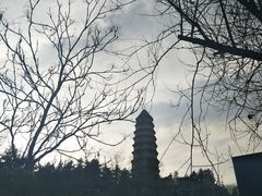 -九锅一堂酸菜鱼(万达广场店)