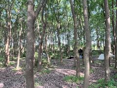 -广富林郊野公园