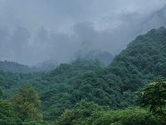 -西岭雪山大飞水景区