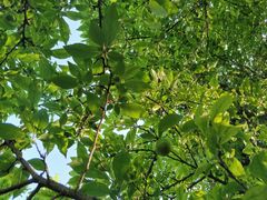 -贵阳市花溪国家城市湿地公园