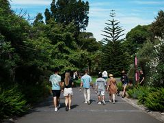 -墨尔本皇家植物园