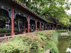 -古真记钵钵鸡(老公园店)