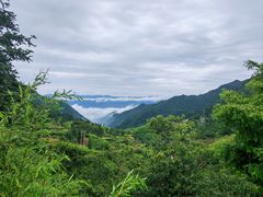 -头上红煨盐鸡乡村食府