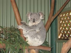 -费瑟代尔野生动物园