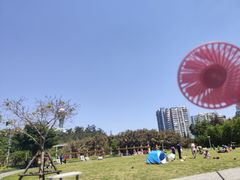 -狐尾山公园
