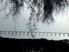 -宝安西湾红树林湿地公园