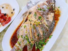 清蒸石斑鱼-新渔享海鲜餐厅(广海渔人码头店)