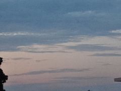 -王浩儿纪六孃甜皮鸭(东大街店)
