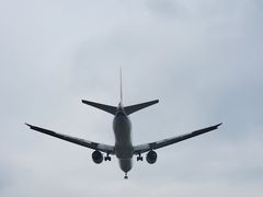 -空港花田景区