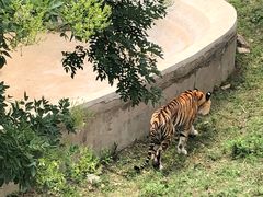 -石家庄市动物园