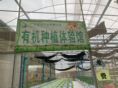 -麻涌飞鸭开心农场