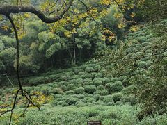 -杭州西湖风景名胜区-三生石