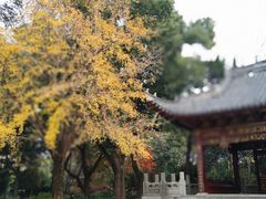 -汇龙潭