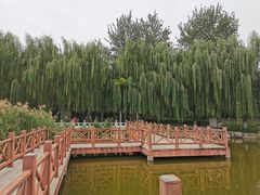 -丰台科技园生态主题公园
