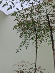 -HEYAN荷妍专业脱毛连锁机构
