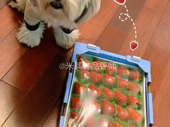 -果蔬好(江南赋店)