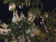 -麻六记(凤凰汇店)