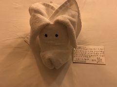 -三亚亚龙湾雅高铂尔曼别墅度假酒店