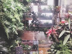 -森味薪火烧•烧鸟居酒屋•日本料理(望京店)