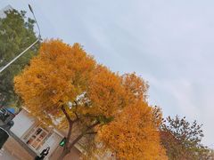 -好利来(槐中店)