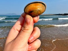 -青岛银沙滩