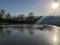 -东郊湿地公园