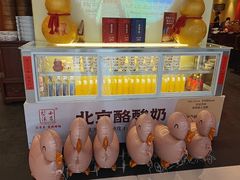 -小吊梨汤·北京菜·烤鸭(鸟巢店)
