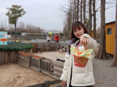 -前小桔亲子创意农场·草莓采摘·露营烧烤