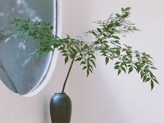 -椿风·养身茶饮(吉大店)