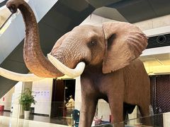 -深圳博物馆历史民俗馆