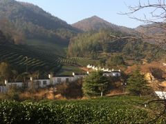 IMG_6671-余姚阳明温泉山庄