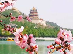 -颐和园