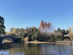 -长广溪湿地公园