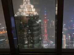 -上海柏悦酒店
