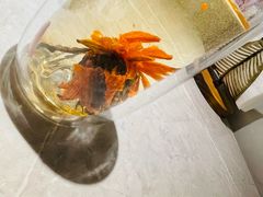 -芸山季·云南野生菌火锅(宝能环球汇店)