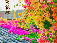 -深圳国际园林花卉博览园