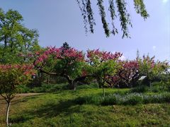 -元大都城垣遗址公园