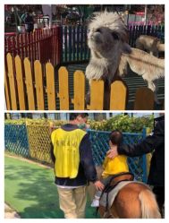 -萌宠亲子动物乐园(槐房万达店)