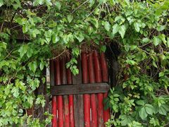 -斯多格书乡(北京大学畅春园店)