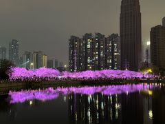 -西北湖绿化广场