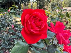 -人民公园(罗湖区)