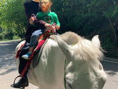 -铁山坪森林公园