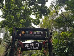 -呀诺达热带雨林