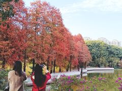 -东莞植物园